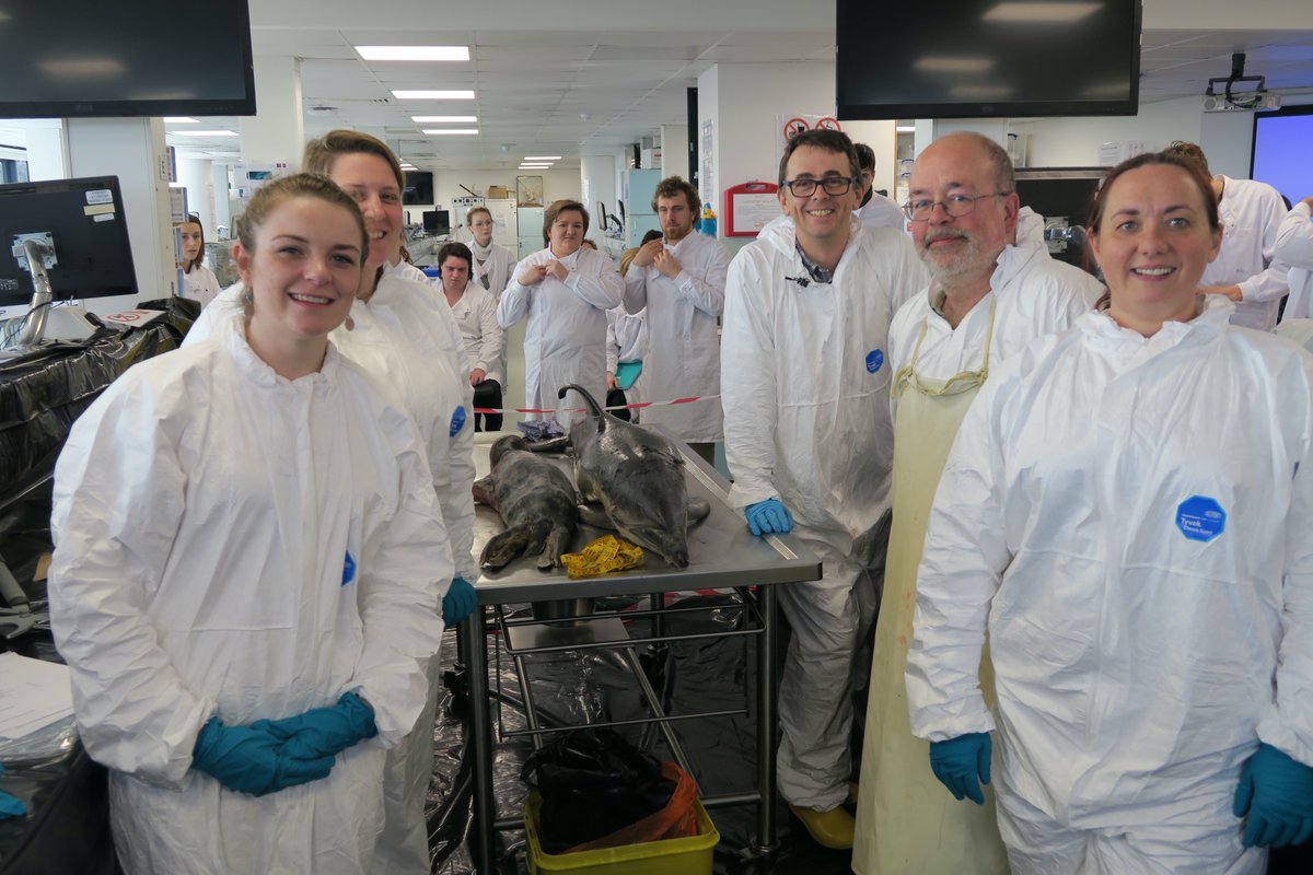 MegHaywardSmith's tweet photo. I am delighted to be graduating with a BSc (Hons) in Marine Biology from the @UniExeCornwall. I have been so fortunate to go to some remarkable places, formed amazing friendships &amp;  connections &amp;  made some incredible memories. Now open to new opportunities in Marine Biology. https://t.co/DTmkuC2F1P