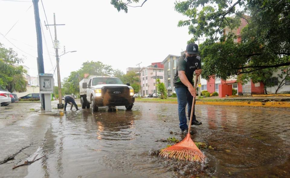Las #BrigadasPorCancún continuan recorriendo diferentes puntos de la ciudad con labores de limpieza y recoja de basura vegetal. 

Recuerda nuestro número de atención vía WhatsApp 998 844 8035 #ReportaYAporta. ✅

#TrabajamosParaTi