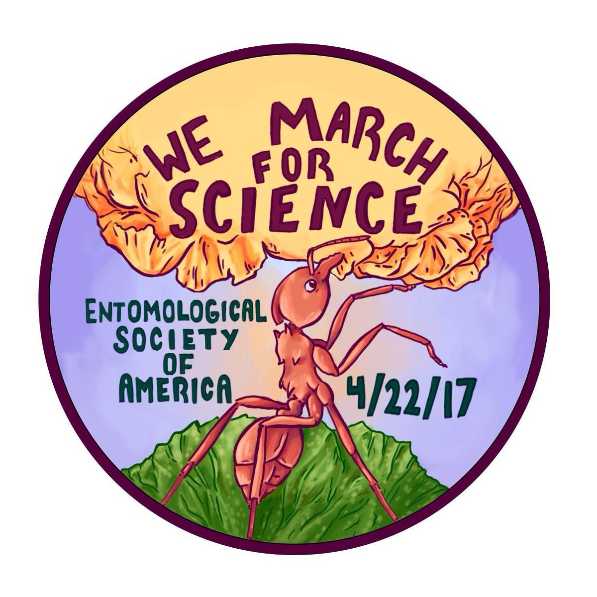 EntsocAmerica's tweet photo. In recent years, entomologists have marched for science in Washington, DC, and around the world. In 2020, we encourage entomologists to vote for science, too. #VoteScienceStrong #swarm4science #EntVocate20 https://t.co/WDX27n0fey https://t.co/UCoTLlswJC