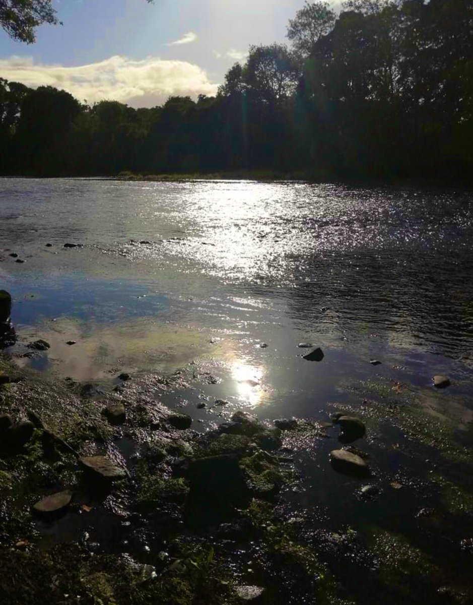 Our #night at drawing in but #beautiful it still it. <a href="/BeaulyScotland/">Beauly Scotland 🏴󠁧󠁢󠁳󠁣󠁴󠁿</a> <a href="/Beaulyholidays/">Beauly Holiday Park</a> <a href="/Motorhomrental/">Loch ness motorhomes - Rental</a> <a href="/beaulydeli/">CORNER ON THE SQUARE</a> <a href="/NorthCoast500/">North Coast 500</a> @northhighland1 #camping #motorhomes #HolidayTime #WednesdayMotivation