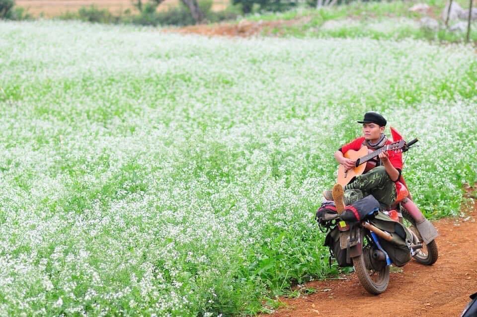 vnarabicgate's tweet photo. عندما تبحر في موج من ازهار البرقوق الابيض
#mocchau #vietnam#فيتنام https://t.co/kj5iZZILxH