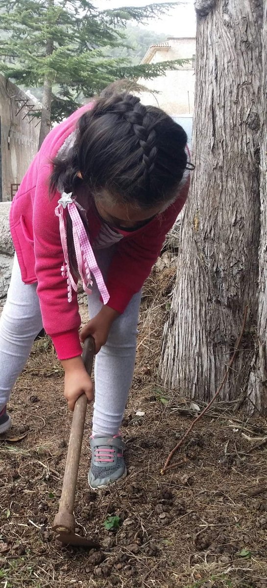 escolanialluc's tweet photo. Per poder recollir, primer s'ha de sembrar! Els més petits posen a punt l'hort escolar! Plantes aromàtiques, faves... què sembraran? Temps a venir ho sabrem! De moment, sembren esperança!! #Escolaniadelluc #blauetsiblauetes #SomEscolania #llucmesquemai #curs2021 #patisverds https://t.co/vQoMwtuLCr