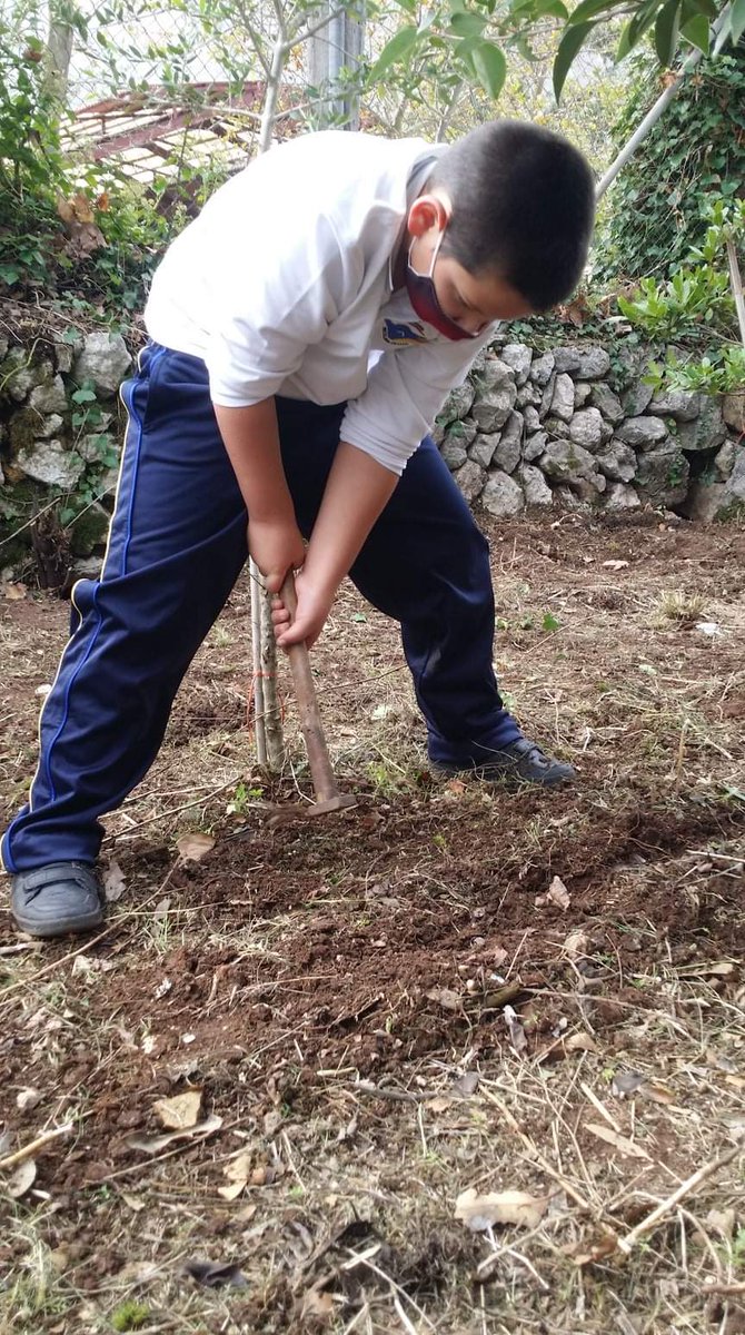 escolanialluc's tweet photo. Per poder recollir, primer s'ha de sembrar! Els més petits posen a punt l'hort escolar! Plantes aromàtiques, faves... què sembraran? Temps a venir ho sabrem! De moment, sembren esperança!! #Escolaniadelluc #blauetsiblauetes #SomEscolania #llucmesquemai #curs2021 #patisverds https://t.co/vQoMwtuLCr