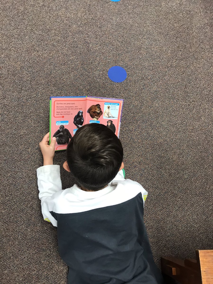 MissStevens03's tweet photo. Slowing down to think “what is this part of my nonfiction book teaching me?” https://t.co/Y2pTHDTBD2