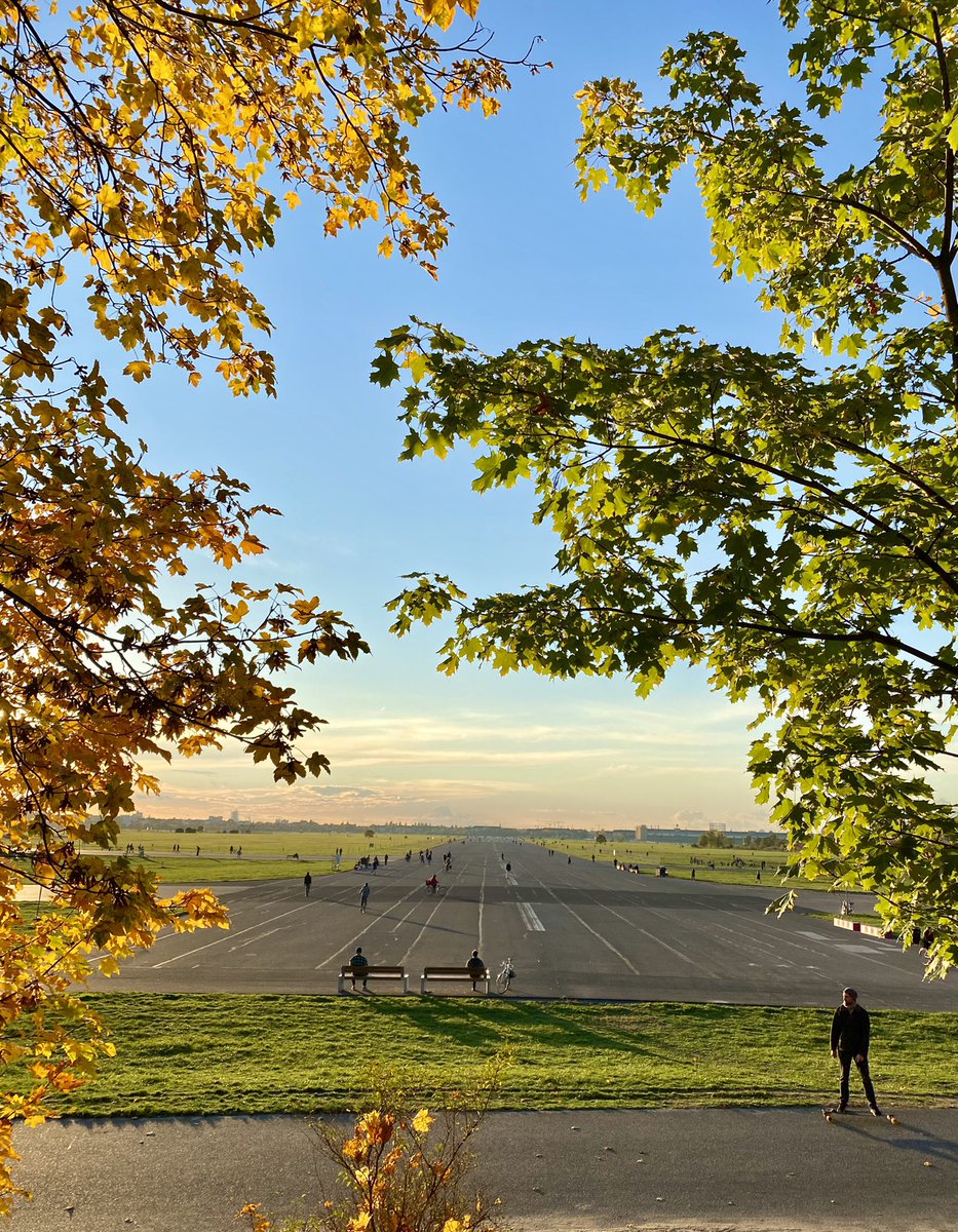 perdoni_m's tweet photo. Herbstklopfen. #Feld #THF #tempelhoferfeld #herbst #golden #oktober https://t.co/YwbRvPA3KA