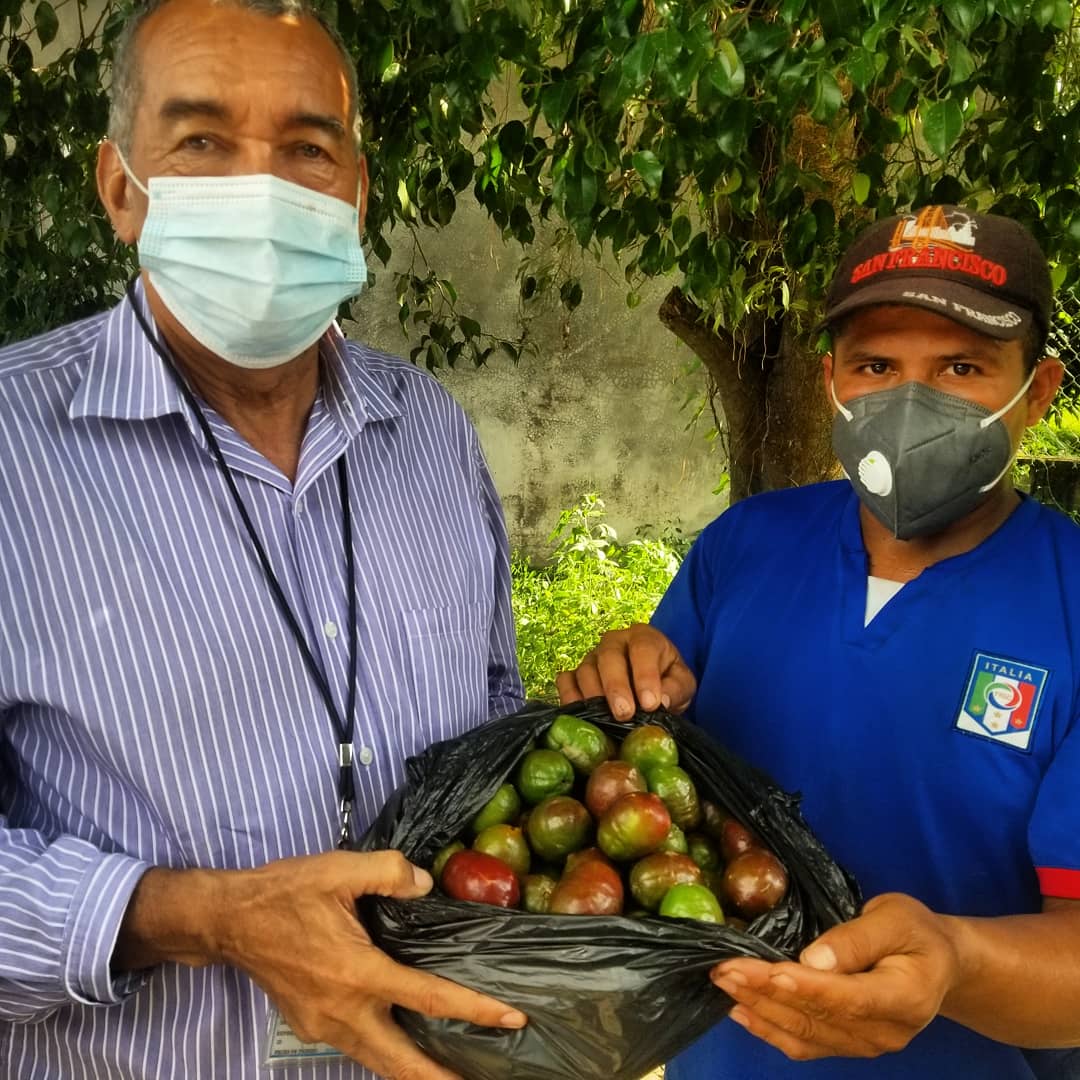SanViimpressive's tweet photo. #ApoyoLocal  Desde la Unidad de #Turismo en este tiempo de producción de Jocote corona se ha apoyado con comercialización. 🤝Enlazando compradores estratégicos para la adquisición de este fruto.😋 https://t.co/hNXxaYZC3K