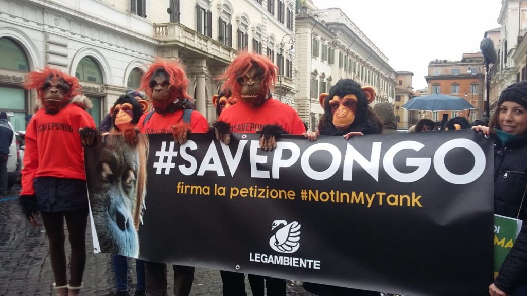 Senato: basta #oliodipalma dal 2023

💪🏼 Un'altra battaglia vinta!
Dal 1 gennaio 2023 olio di palma, di soia e derivati, esclusi dal conteggio delle energie rinnovabili e dai sussidi di mercato previsti per legge."

viviconstile.org/magazine/artic… #unpienodipalle