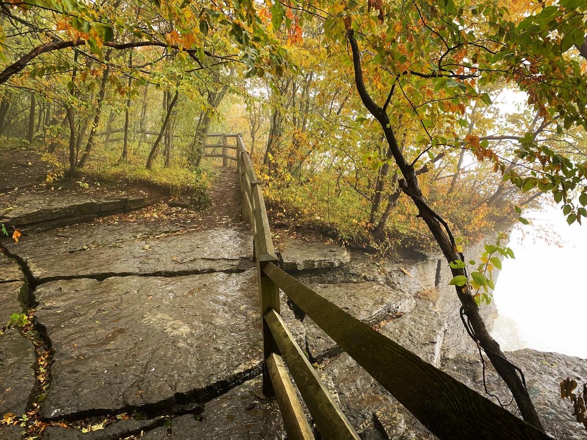 k8talois's tweet photo. My kinda #edge fund πππ°
#upstateny #thisisupstate #nysparks #iloveny #thacherstatepark https://t.co/QxPfRypLUn