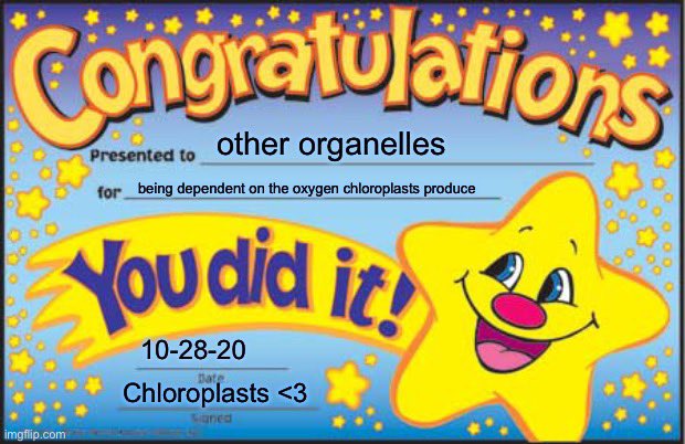 _mrchloroplast's tweet photo. Without chloroplasts, all those other organelles wouldn’t be able to function! @SICPLum https://t.co/4veOGYMTa8
