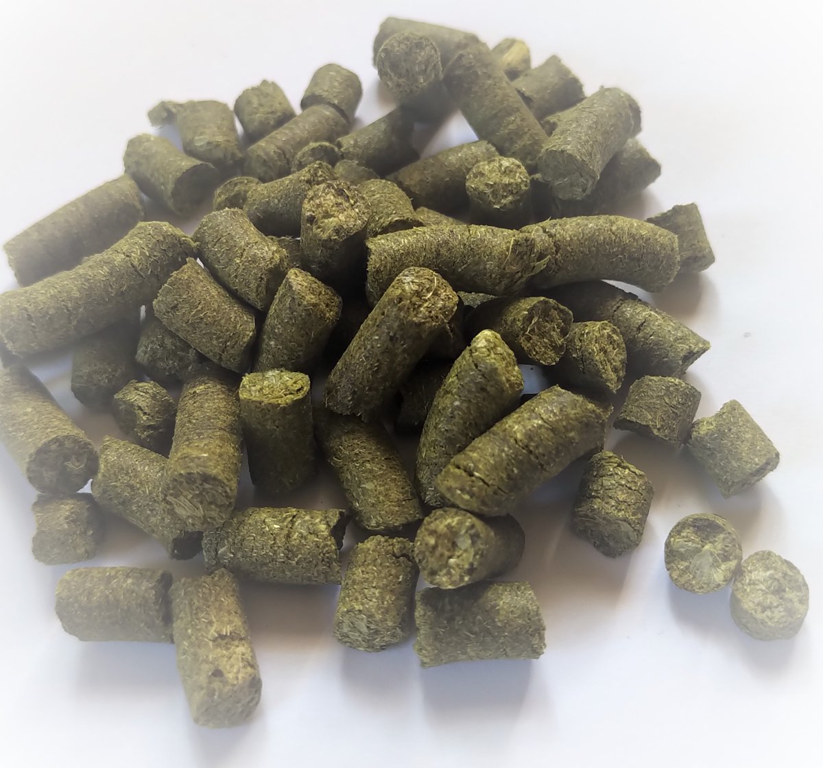 TavistockHopCo's tweet photo. New Varietal Alert! Triple Pearl #ONTHOPS now available in our online store! These hops are full of tropical juiciness, a perfect fit for your next #NEIPA brew! https://t.co/V7WyCfEEy9