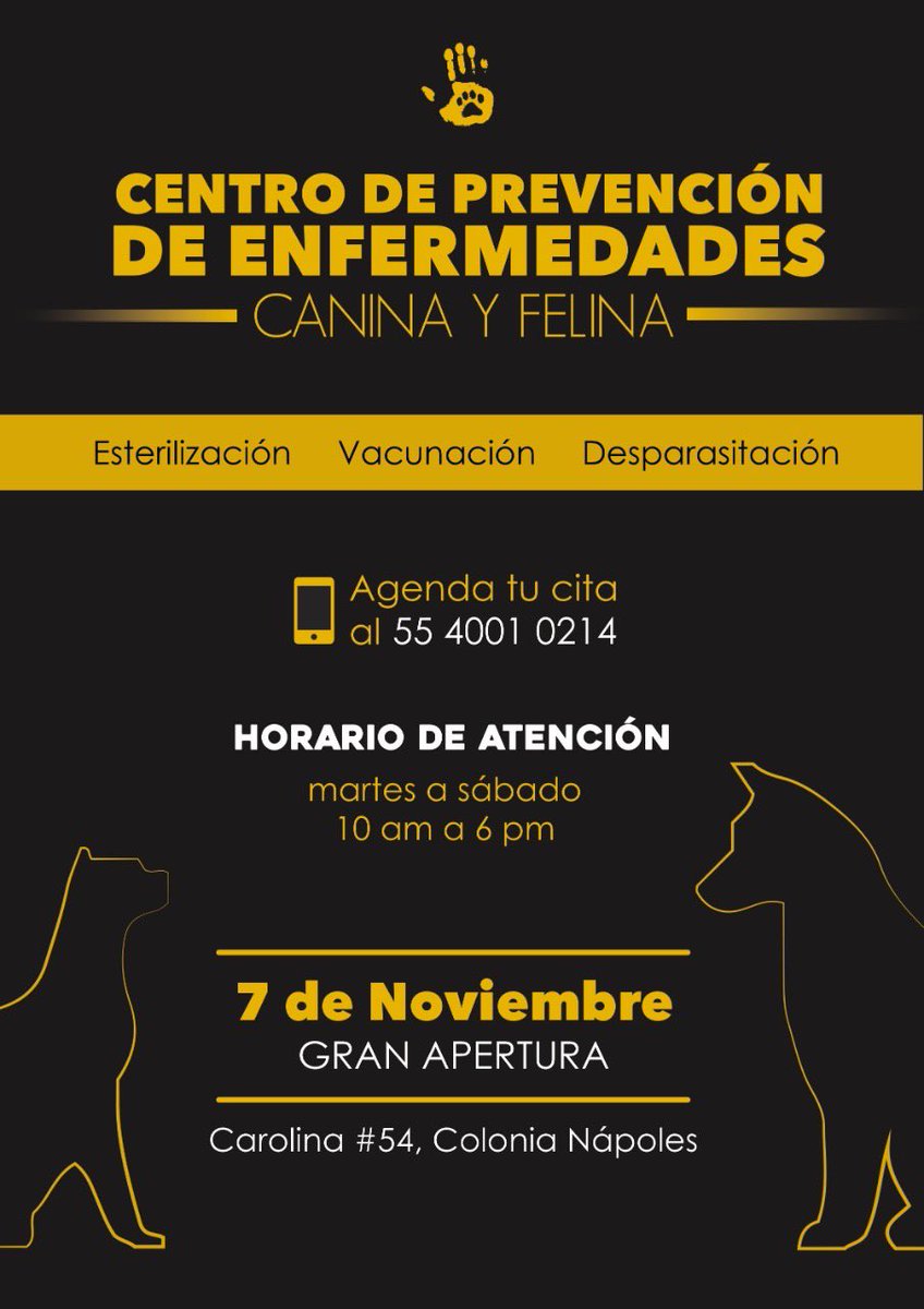 Eri Fernandez tweet media