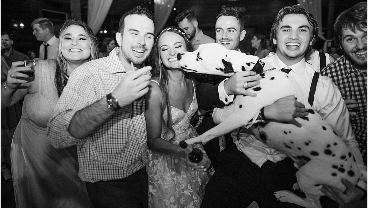 DJ Franco Events tweet media