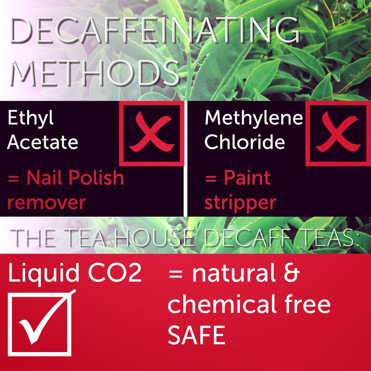 theteahouseltd's tweet image. #decaff

DECAFF – THE GOOD AND THE BAD
 
Some of our customers love tea but cannot or do not wish to have caffeine.  We are often asked about the method of decaffeination used on our teas.
We are always pleased to let them know our decaff teas are decaffeinated using...