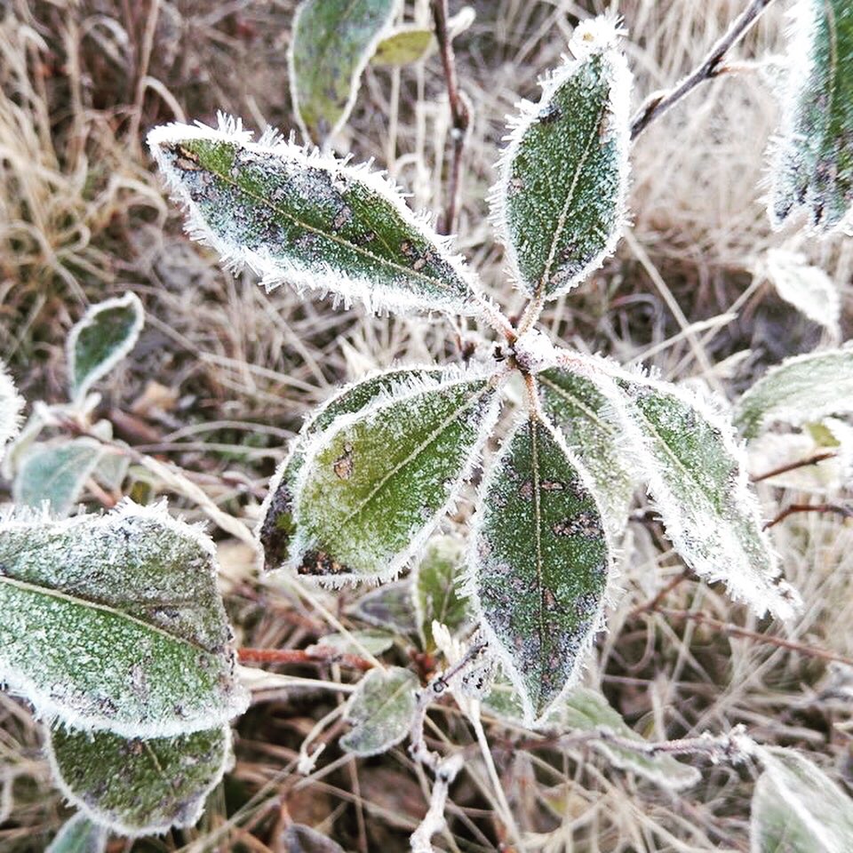 Attention Campers!
Due to freezing temperatures:
- The water at Lake of Two Rivers Campground is being shut down today. Ontario Parks staff will be working hard to contact campers to talk about options to cancel, change or modify their reservations. https://t.co/wWbFZl2Omj