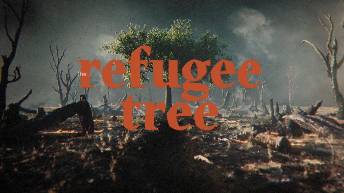marcommnews's tweet photo. For the first time a #tree seeks asylum and unveils the drama of native species under threat https://t.co/duCqNi9uMB #environment #RefugeeTree 
#24hoursOfReality
#CountdownToTheFuture @agenciaafrica https://t.co/RyTh6EZHzR