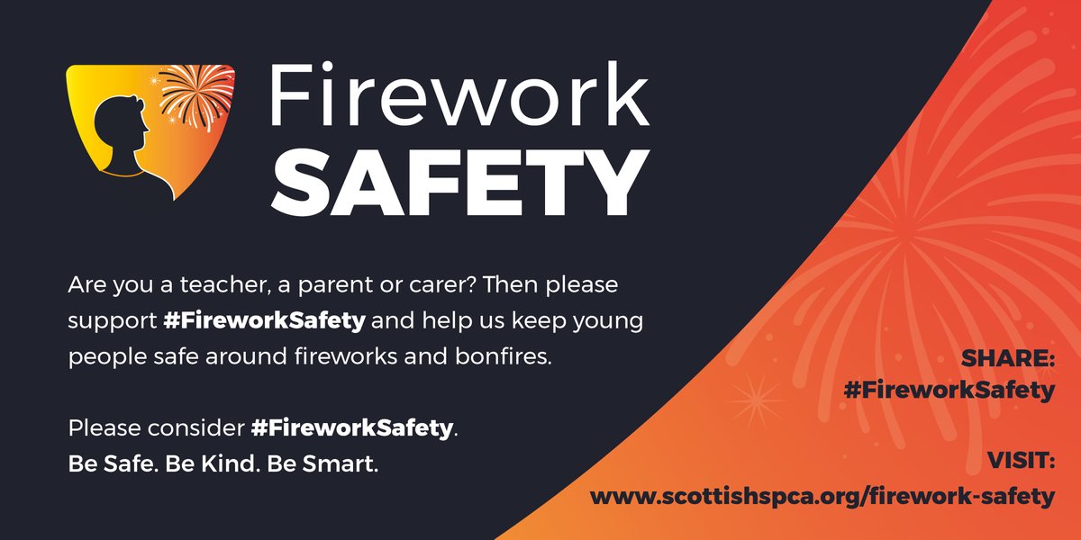 Every year, more than 150 people end up with lifelong scarring from fireworks – follow the Firework Code

Please #BeSafeBeKindBeSmart.