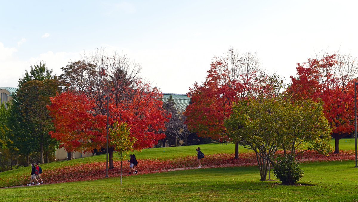 🍃🍂🍁🍃🍂🍁🍃🍂🍁

#ThisIsCatholicU