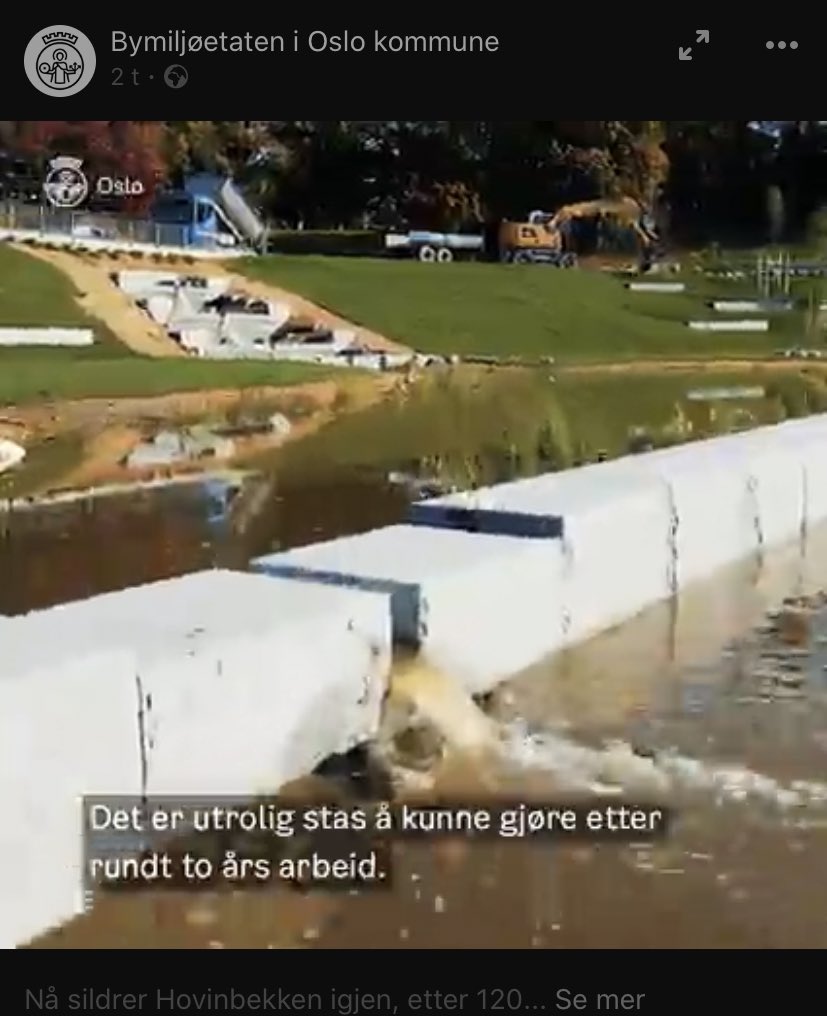 @tharanfergus@snabelen.no🇵🇸 tweet media