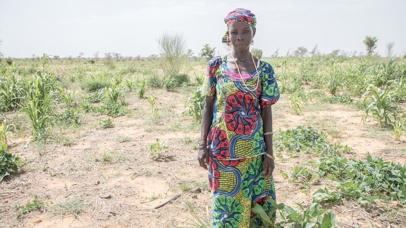 By 2030, climate-related humanitarian costs could rise to about $20 billion a year.β οΈπ°
Governments in vulnerable countries need support to create effective early warnings, get them to communities in harm's way and act on them. #AfricaDP https://t.co/t6K6b4ACuu