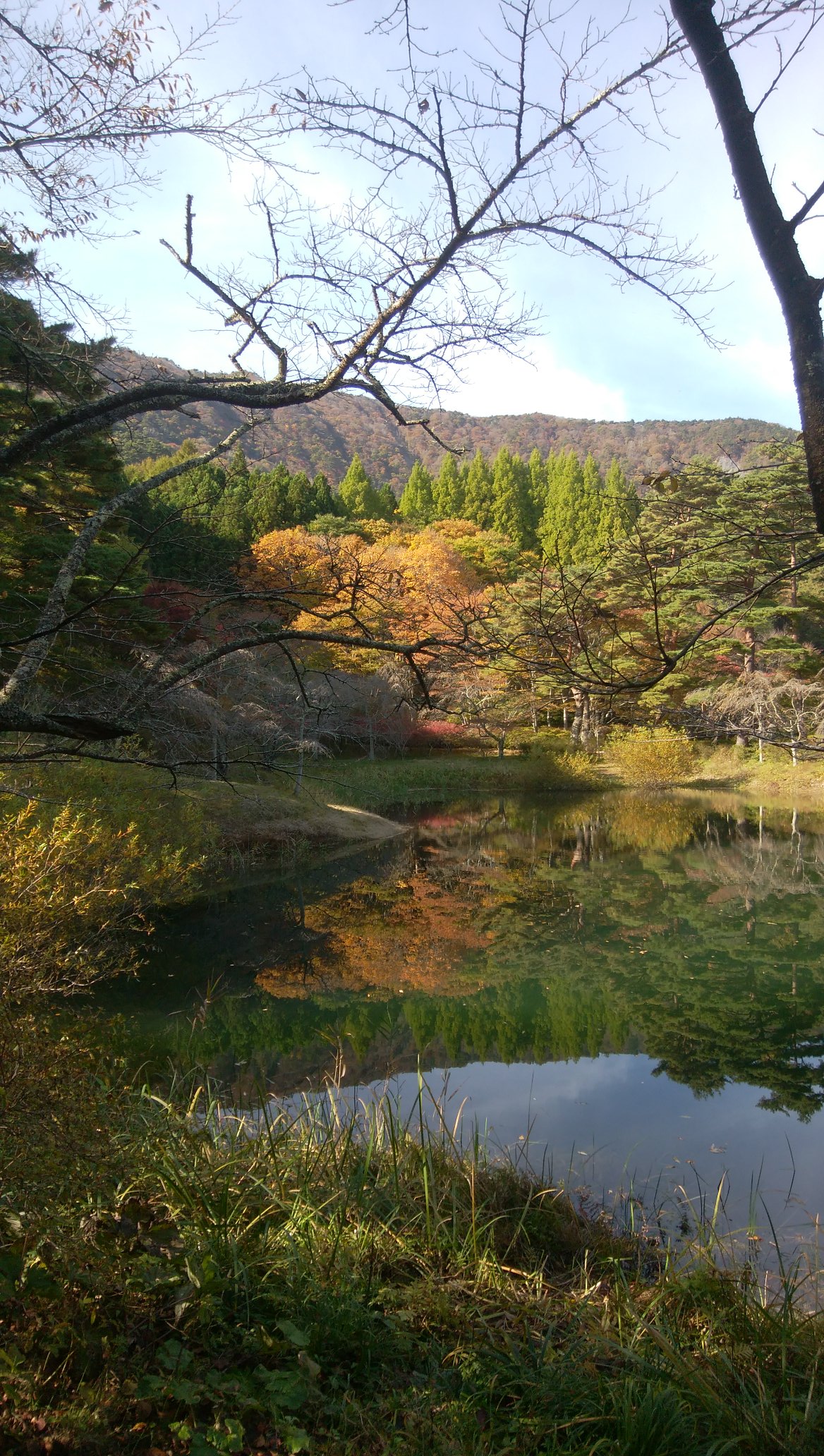 半田沼自然公園 Twitter Search Twitter