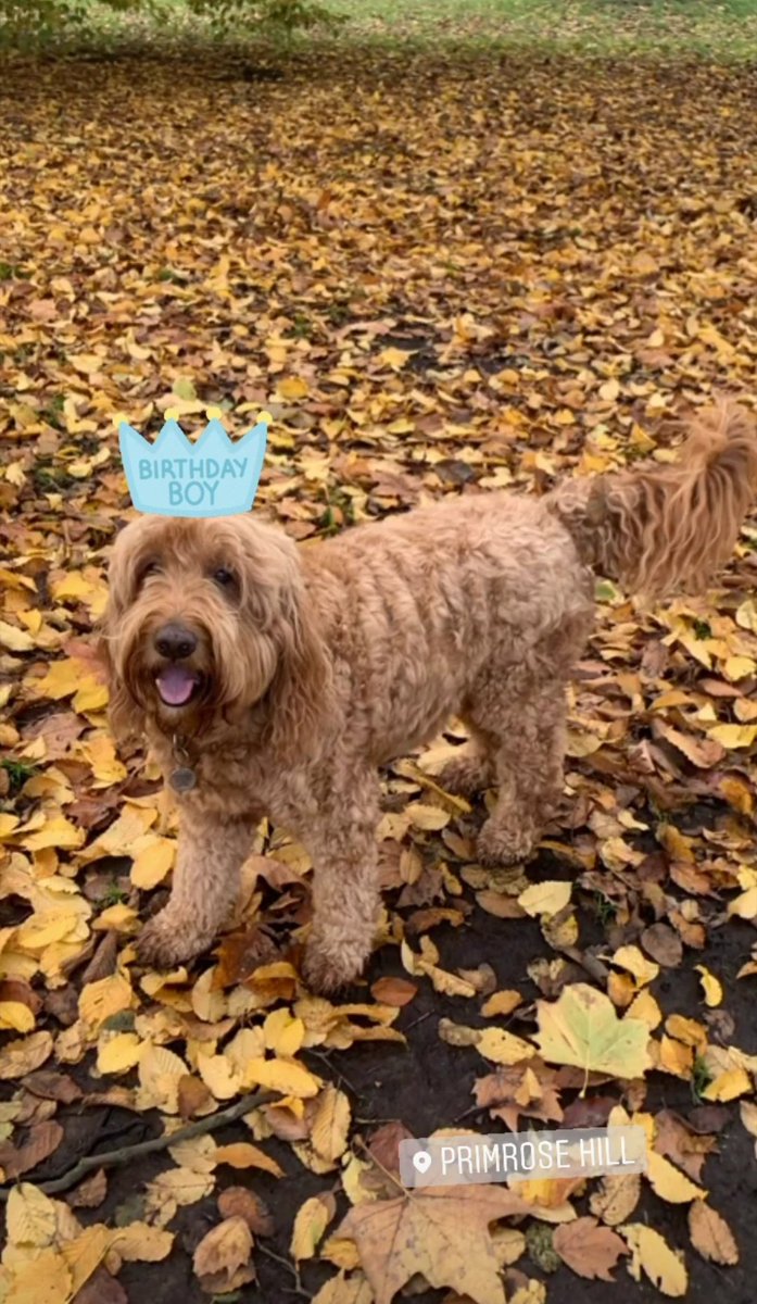 BruceJCalder's tweet image. Seven 🎂