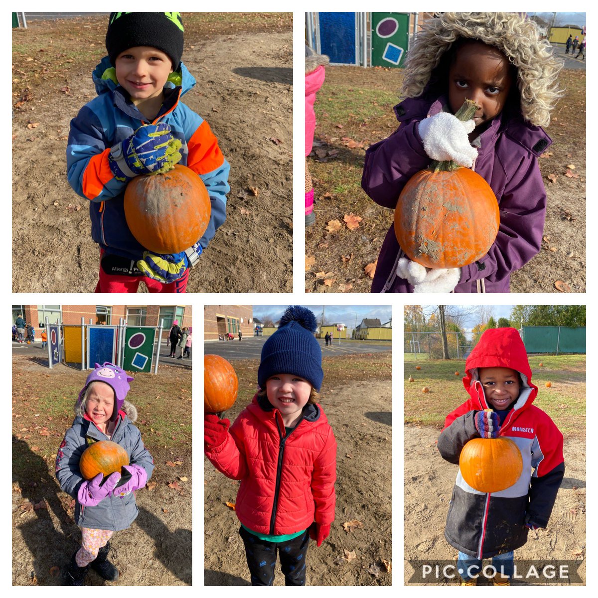 Sabrina Morris tweet media