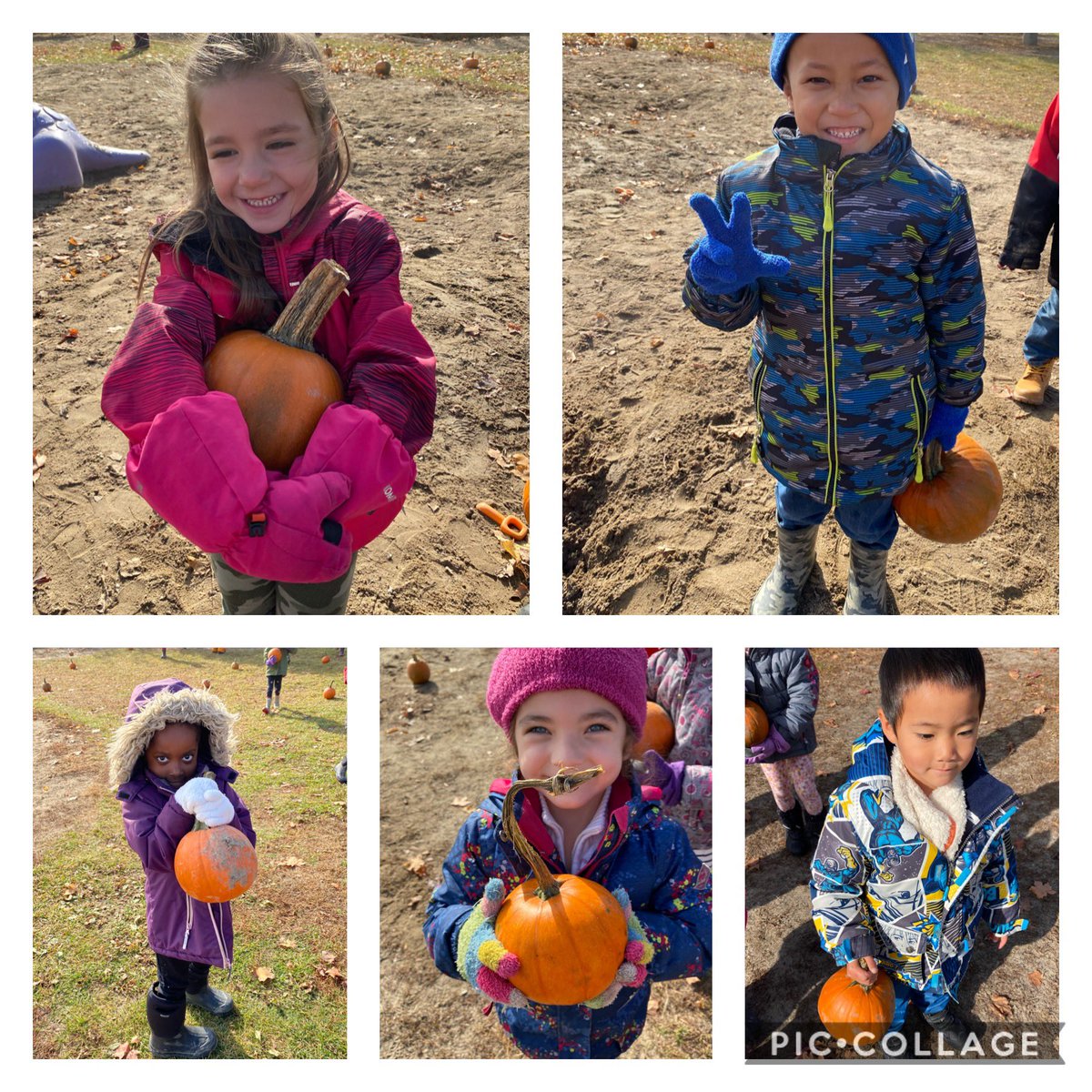 Sabrina Morris tweet media