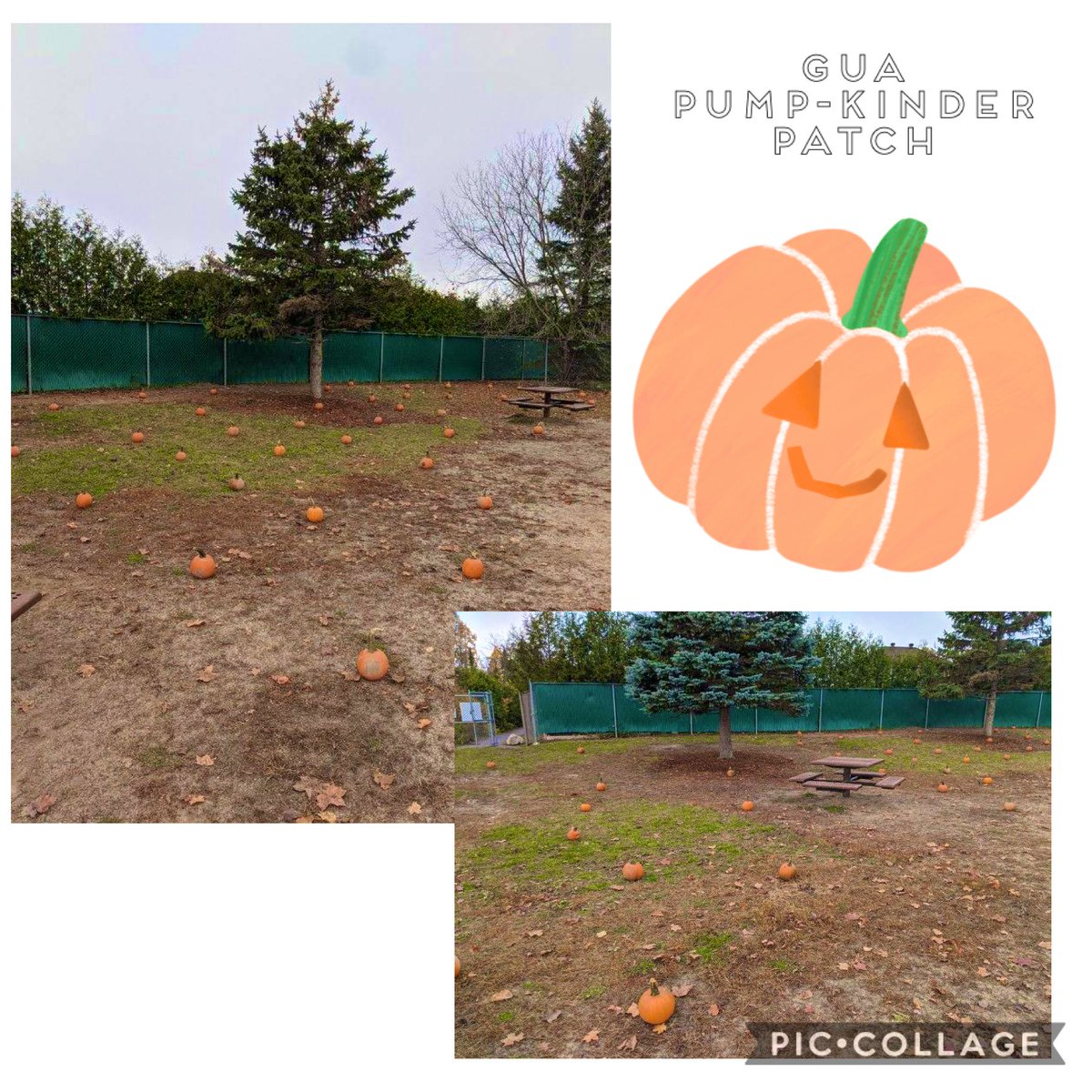 Ms. MacDonald tweet media