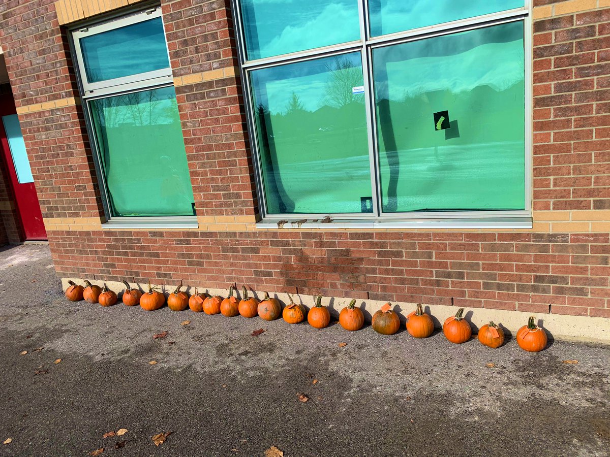 Ms. MacDonald tweet media