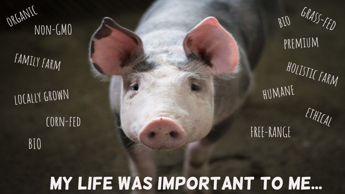 AnimalRevol's tweet photo. Labels that make you feel better won't make any difference for your victims. 

#FriendsNotFood #SaveAnimals #GoVegan #MeatFree #FarmingUk #Farmers #Vegan #Veganism https://t.co/FtOWQjCCrF