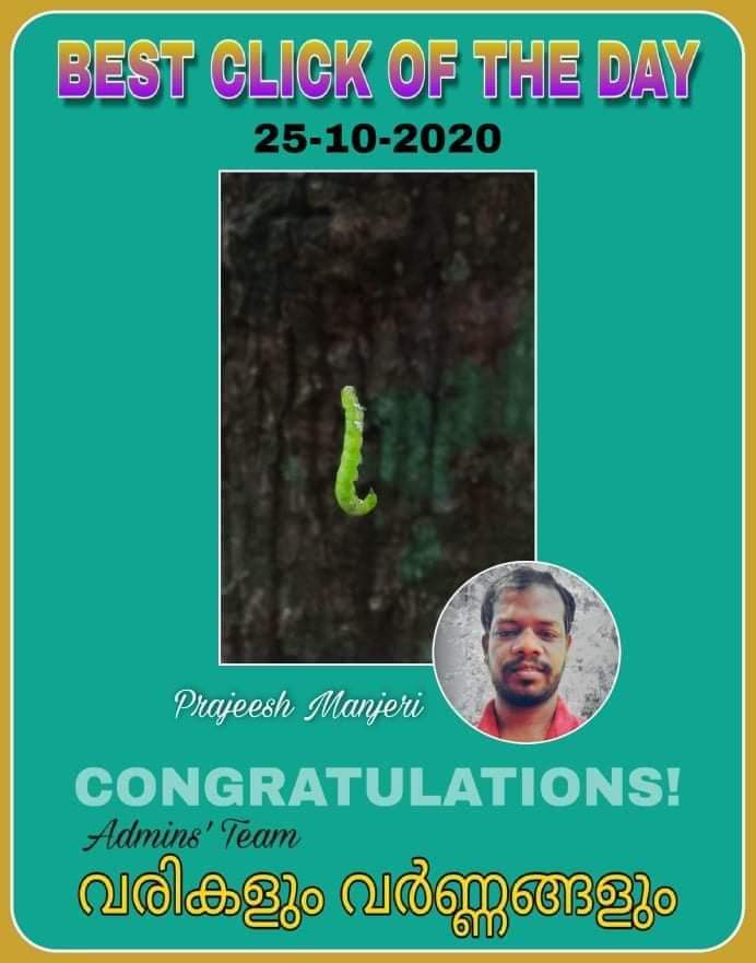 ManjeriPrajeesh's tweet image. 