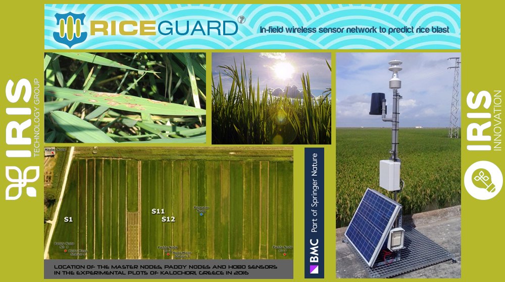 iris_rd's tweet photo. We are celebrating the 1st anniversary of the publication of ‘Predicting rice blast disease: machine learning versus process-based models’ by @dnettlet about our #RICEGUARD #EU #FP7Project.
👉 https://t.co/lzohasapg4 to have a new chance to know more about it https://t.co/Jresv983GP