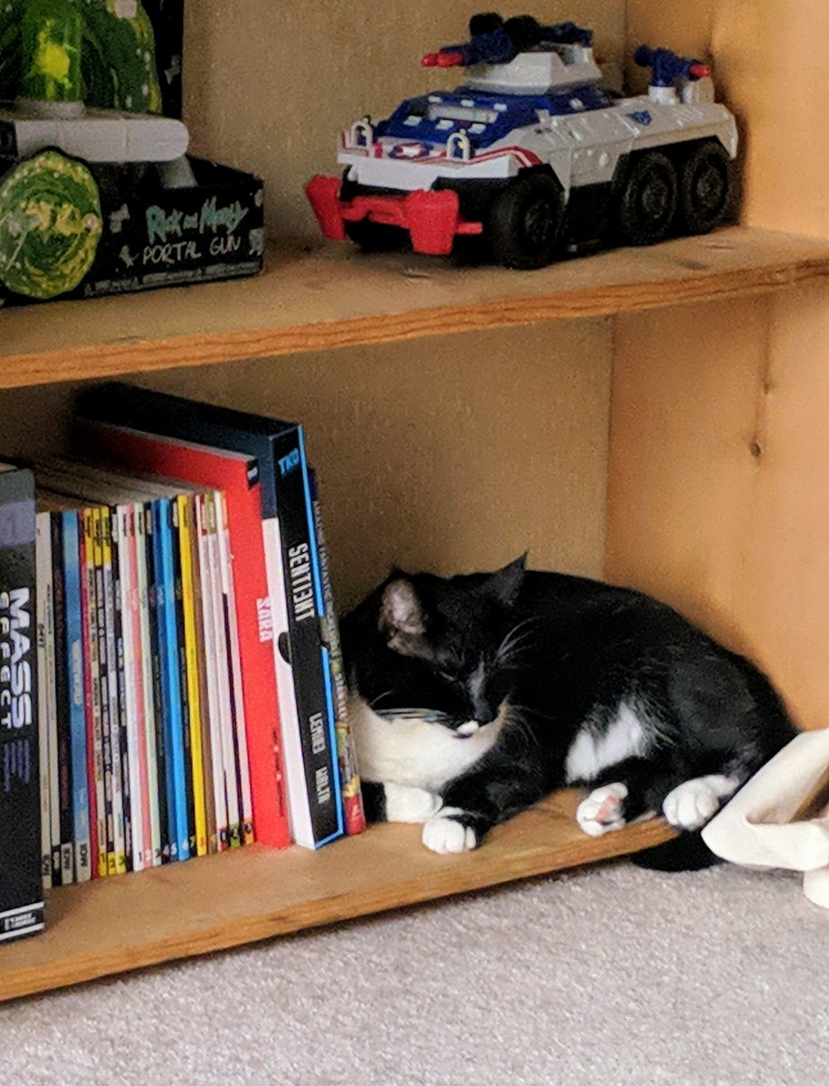 Kurtopolis's tweet photo. Happy #NCBD and #NTYCBD everyone! Heard there's some hubbub about #ThreeJokers so I'll be reading that 1st! What are you excited about!? Also check out my new bookend! I think it actually might take up too much space but I kinda like it. #showmewhatyougot https://t.co/bxCPXXykZT