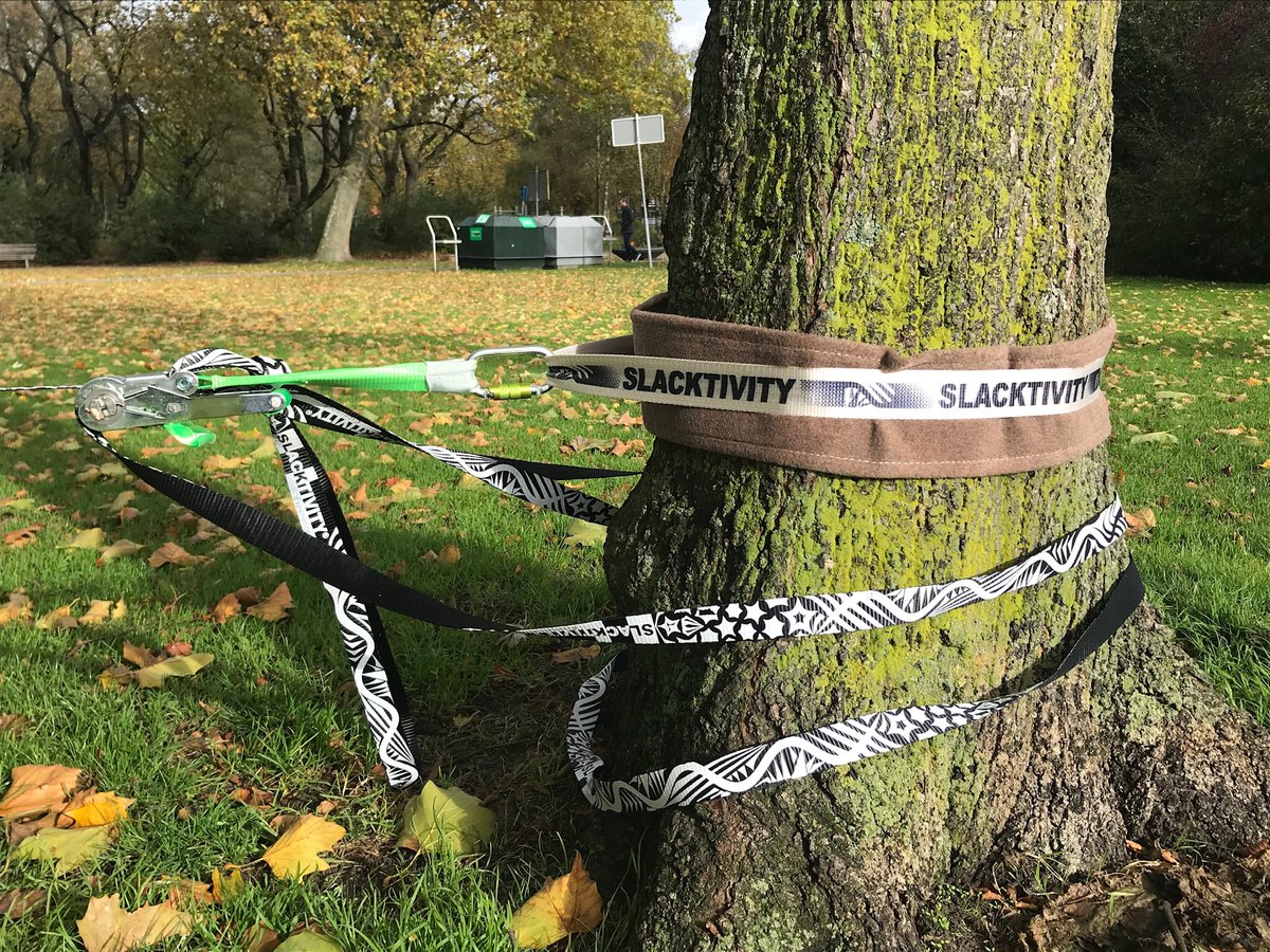 Ronald Loch tweet media