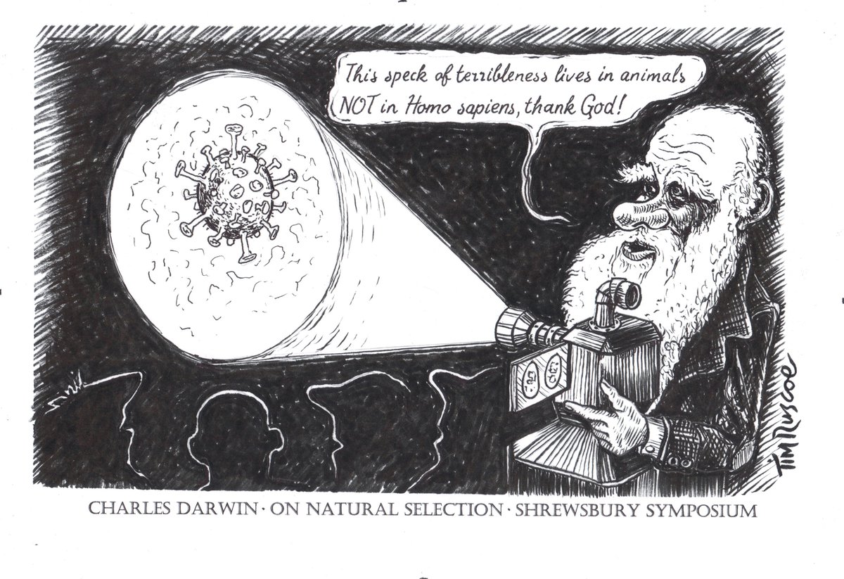 procartoonists's tweet photo. EVEN MORE REALLY GREAT CARTOONS AT OUR REALLY REAL @ShrewsToonFest EXHIBITION, like this REALLY brilliant #cartoon by @Tim_Ruscoe! @WhatsOnShrews
 #BearStepsGallery More info here on our Blog: https://t.co/Lmtozgebmx https://t.co/uRe5Y8xrhU