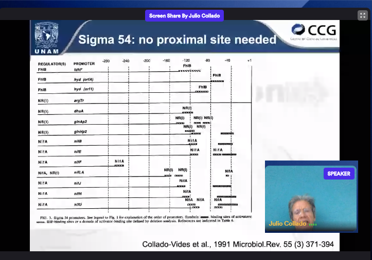 soibio2021's tweet photo. >>Keynote Speaker<< #ISCB_SOIBIO_BioNetMX_2020

We are listening to  Julio Collado-Vides from Mexico

Title: "Updating the conceptual framework of the regulation of transcription initiation in bacteria (RegulonDB)"

@soibio2020 @iscbsc @iscb https://t.co/TW4I3JfXwm