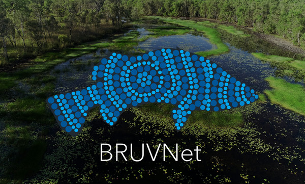 SciStarter (@scistarter) on Twitter photo New #CitizenScience project alert! BRUVnet is asking you to trace lines around fish species in imagery to help generate the worlds largest dataset of labelled fish images. Participate from anywhere! <a href="/CitSciOZ/">Australian Citizen Science Association</a>
scistarter.org/train-artifici… New #CitizenScience project alert! BRUVnet is asking you to trace lines around fish species in imagery to help generate the worlds largest dataset of labelled fish images. Participate from anywhere! <a href="/CitSciOZ/">Australian Citizen Science Association</a>
scistarter.org/train-artifici…