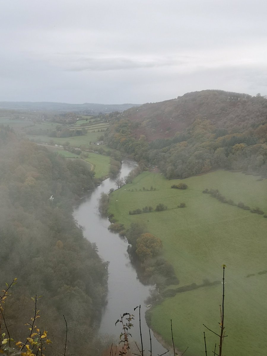 lenny256's tweet photo. We had a great walk in the rain today from Forest Holidays in the Forest of Dean to Symonds Yat Rock, something that we would never have been able to do before we bought #mtpush from @mountaintrike https://t.co/BFSjxmjxfs
