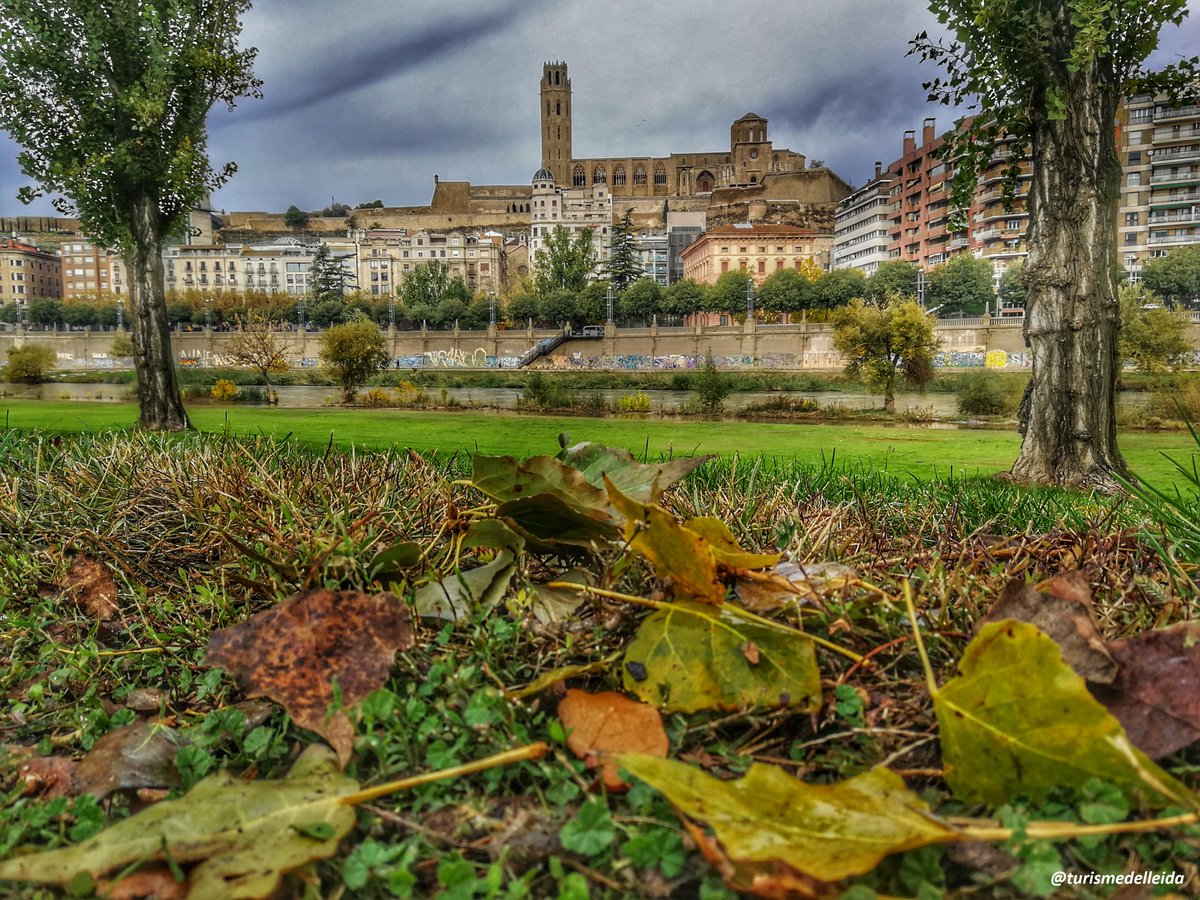 Cada diumenge 11.30h des de l'oficina de turisme, visita guiada "Lleida City Tour"😎🤩
👉Inscripcions 973700319 o infoturisme@paeria.es (aforament limitat) Preu: 5€/pers
#Lleidaciutat #totelqueestimes #inLOVEwithCatalonia <a href="/paerialleida/">Ajuntament de Lleida</a> <a href="/aralleida/">Ara Lleida</a> <a href="/catexperience/">Catalunya Experience</a> <a href="/patrimonigencat/">Patrimoni cultural</a>