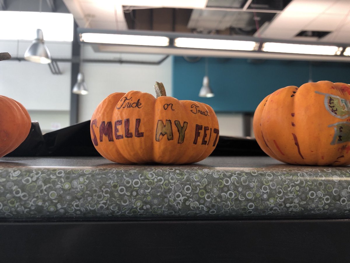 Pumpkin Fun  🎃 at Meadows #meadowsmagic