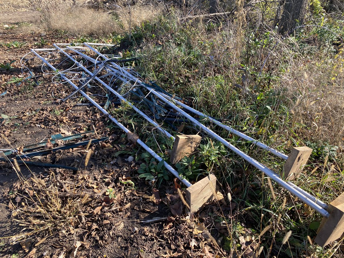 BiswasSoilLab's tweet image. Harvesting done, sensors are out, data are transferred and secured. Now time take down set ups and store for next season #digitalariculture #precisionagriculture #digitalsoilmapping @UofG_SES @UofG_FfT @UofGuelphOAC @UofGResearch @ArrellFoodInst thanks to @tonybalkwill