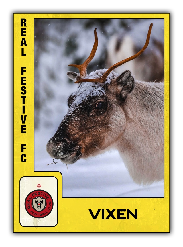 turfstudio_x's tweet photo. ** SEALED WITH A KISS **

The trouble maker Vixen has settled down, and is on her best behaviour thanks to a sponsorship by @Lindseyobrienj1 

That's it folks! That's all of Real Festive FC sponsored. A huge thanks to all who have donated to the #KitsForMeals campaign...

🦌 https://t.co/2hy7WHbjtO