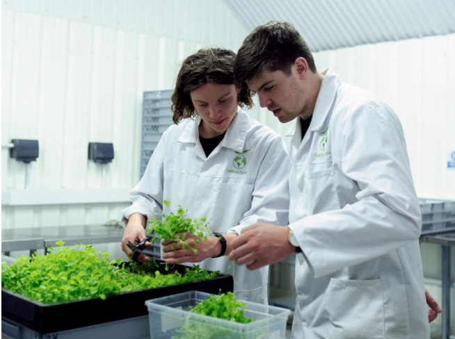 avax_one's tweet photo. #AgriFORCE aims to spark change in the #agriculture industry with #farmtech designed to increase crop yields, protect plants from pathogens and contamination, and reduce environmental impact.
#EcoFarming #GoGreen #CleanGreenLocal
https://t.co/bnefEq2pyq https://t.co/5vfX9bBUDA