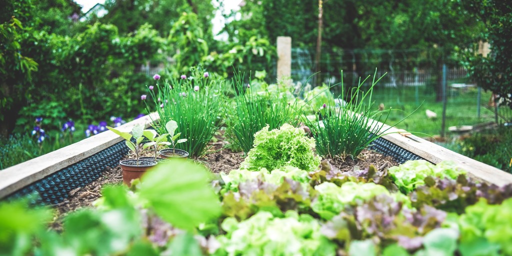 From resource depletion to climate change, the systems we rely on for well-being &amp; prosperity are being compromised. Our #Permaculture course (Nov 30) will show you how to ⬆️ your economic efficiencies, ⬇️ environmental liabilities, &amp; more! Enrol today: ow.ly/rKWl50C2ZUW