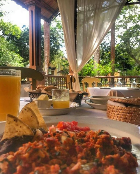 VisitMeridaMx's tweet photo. Nada como despertar en una hacienda de Mérida con un desayuno al aire libre. #VisitMeridaMx #WeLoveMerida
IG: hacienda.xcanatun https://t.co/5mPU8SZYw9