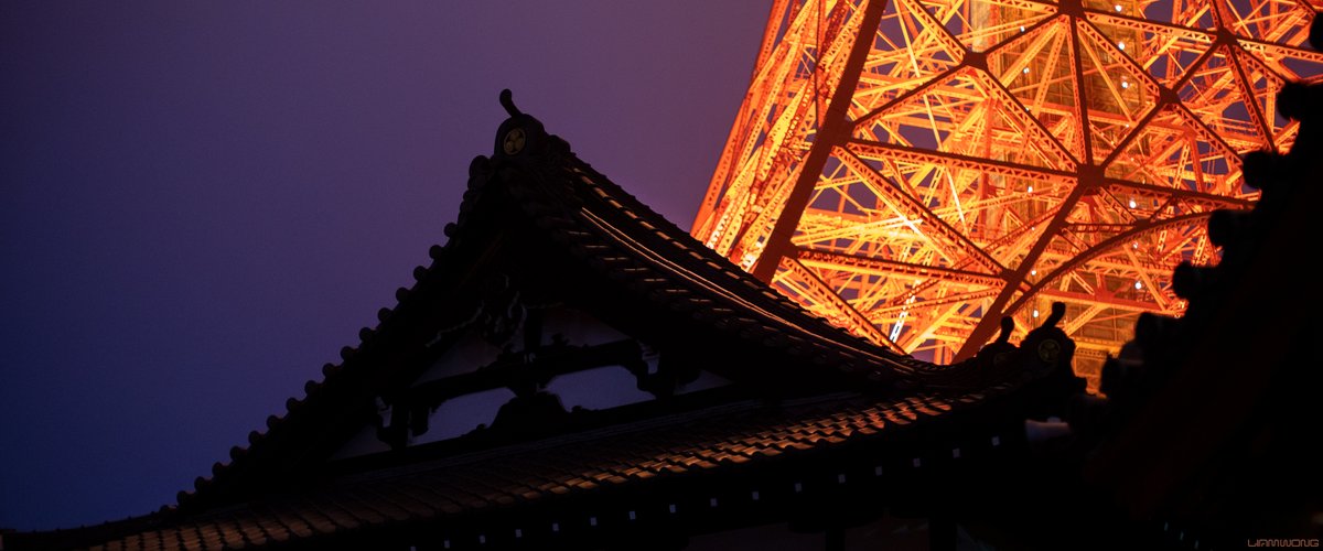 Photography by Liam Wong of Tokyo tower at night. A wide cinematic frame of Tokyo tower showing its detail. In the focus is the traditional rooftop building of a temple. The tower is in the background, lit up.