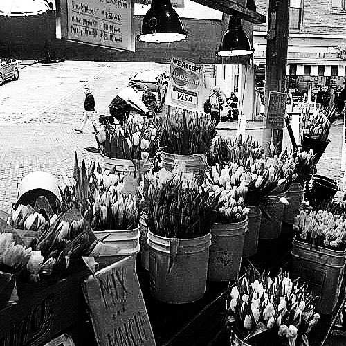 ᚌ ⢀ ⁺𓊪𖠵 𐄙 ᛧ ༝ 승우 ᛧ 𐄙 ⁺𓊪𖠵 ⢀  🥍 ᛌ ลฟตท ᚌ