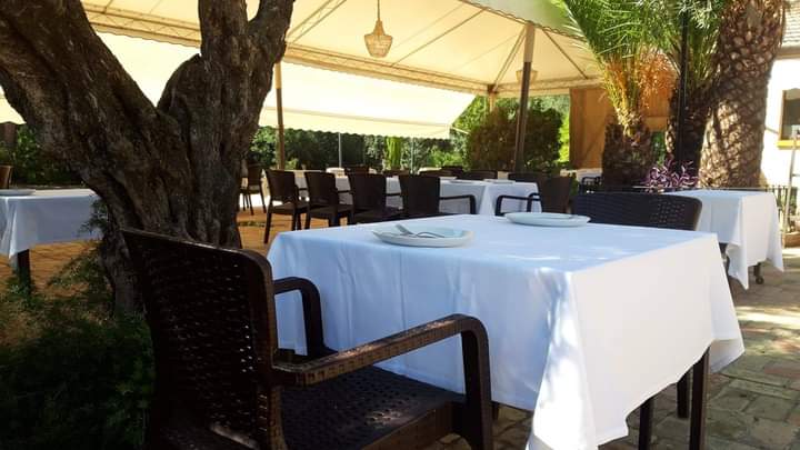 Almoradux's tweet photo. Llega nuevanente el buen tiempo, y un nuevo puente, reseva tu mesa en el pleno parque natural de Doñana, dónde se funden la gastronomía y la naturaleza. 

Restaurante Almoradux 
Hinojos 
☎️ 959459779

#cocinadeproducto #Doñana #Hinojos #naturaleza #parquenatural #Huelva https://t.co/bRxnnsDpda