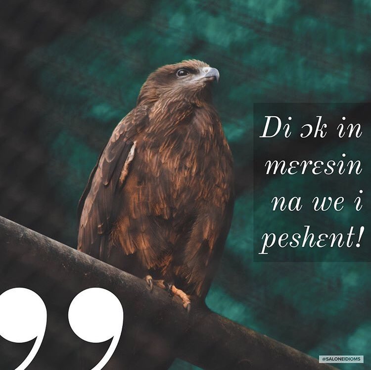 
#SALLNKRT @saloneidioms
LITERAL: The hawk’s medicine is patience.
REAL: Patience is a virtue.
.
.
.
.
#SaloneLinkup #YSLP #SaloneTwitter #SLWisdomWednesday #Saloneidioms #Sayings #idioms #Krio #Salone #SierraLeone https://t.co/eTE5T1LR2K