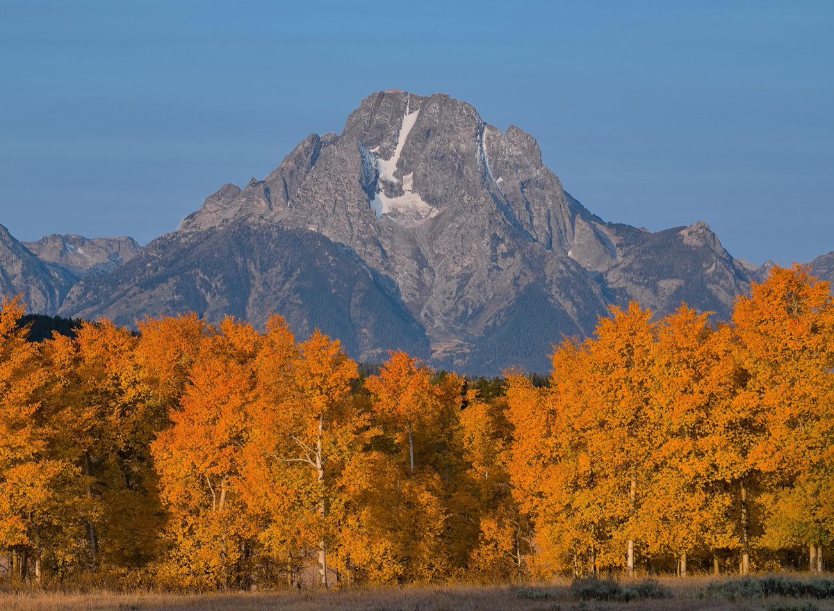 gorgeous_pix's tweet photo. "After all the fires and smoke in the Tetons, it was nice to see the right kind of burnt tree - burnt gold. From u/CampsG on Reddit #rightkind #burnttree #burntgold #tetons #smoke #see #nice #fires" https://t.co/XAeIdk3Afd